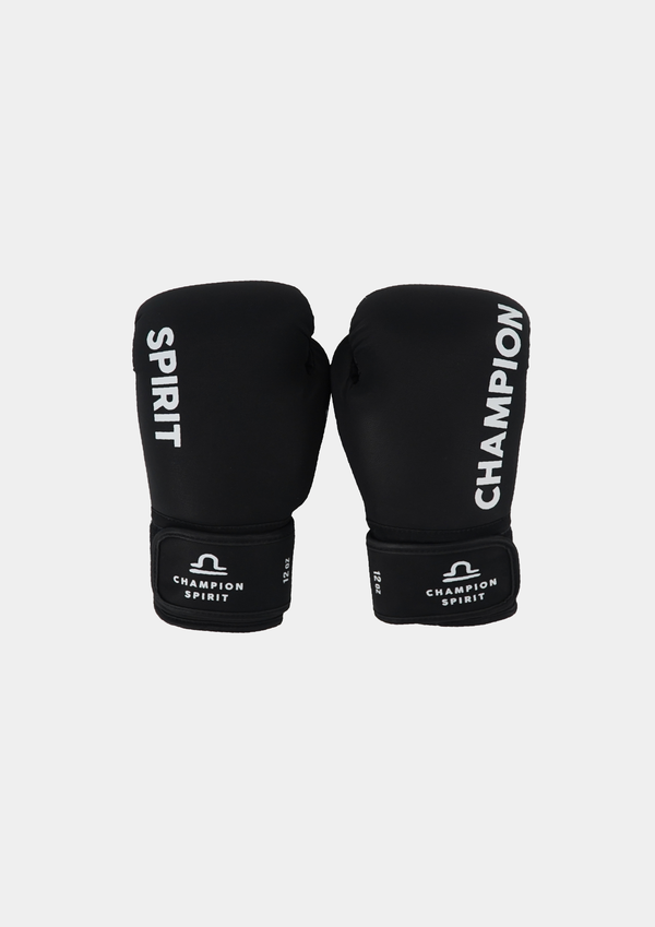 Boxing Gloves | Fit Version
